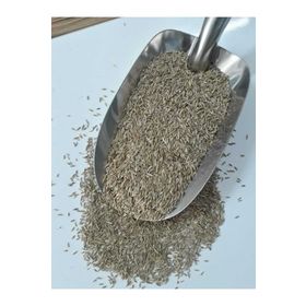 Grass Seed 1 kg Çim Tohumu