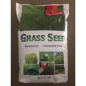 Grass Seed 1 kg Çim Tohumu