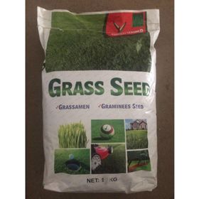 Grass Seed 1 kg Çim Tohumu