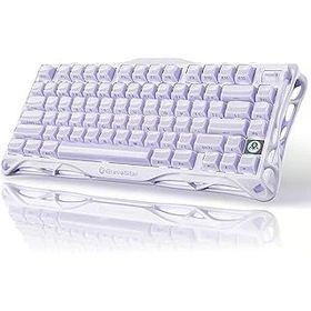 GravaStar Mercury V75 HE Mor RGB %75 TKL Magnetic Switch Kablolu Mekanik Oyuncu Klavyesi