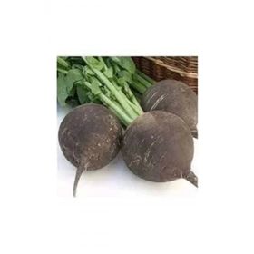 Green Line 10 gr Siyah Turp Tohumu