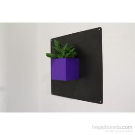 Greenmall Cubo Mor Mıknatıslı Plastik Saksı