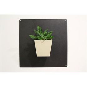 Greenmall Piramit Fil Dişi Ekru Mıknatıslı Plastik Saksı