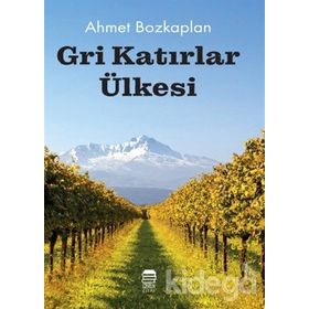 Gri Katırlar Ülkesi - Ahmet Bozkaplan