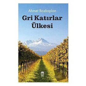 Gri Katırlar Ülkesi - Ahmet Bozkaplan