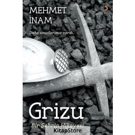 Grizu, Bir Şehrin Hikayesi - Mehmet İnam