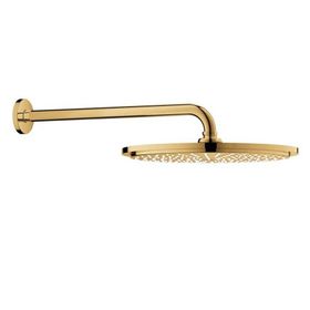 Grohe 26066GL0 38 cm Rainshower Cosmopolitan Tepe Duşu Ve Dirseği