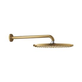 Grohe 26066GN0 Rainshower Cosmopolitan 38 cm Tepe Duşu ve Dirseği