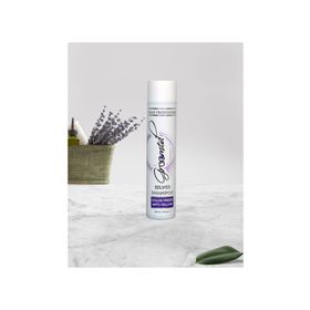 Groomed Silver 300 ml Şampuan