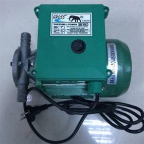 Gross 3-4 220 V Sıvı Aktarma Pompası
