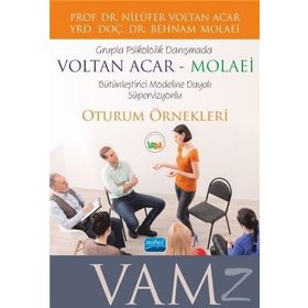 Grupla Psikolojik Danışmada VOLTAN ACAR-MOLAEİ VAM Bütünleştirici Modeline Dayalı Süpervizyonlu Oturum Örnekleri - Nilüfer Voltan Acar Behnam Molaei