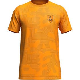 GS Store E232383 Sarı Galatasaray Davinson Sanchez Design Fc Erkek T-shirt