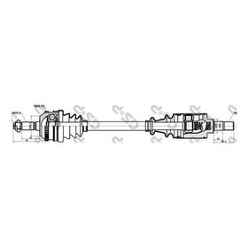 GSP 210020 Aks