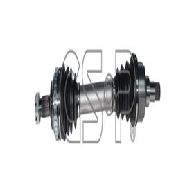 GSP 210021 Aks