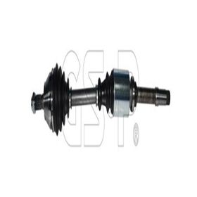 GSP 210118 Aks