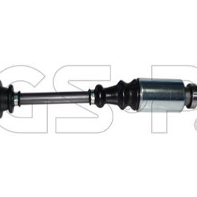 GSP 210118 Aks