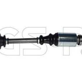 GSP 210118 Aks