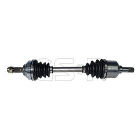 GSP 210131 Aks