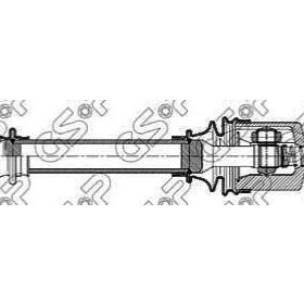 GSP 210139 Aks
