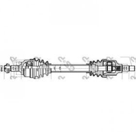 GSP 210204 Aks
