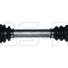 GSP 210204 Aks