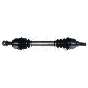 GSP 210204 Aks