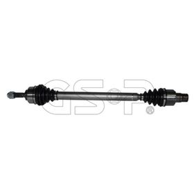 GSP 210206 Aks