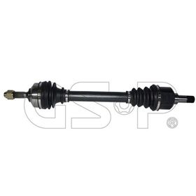 GSP 210309 Aks