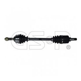 GSP 210311 Aks
