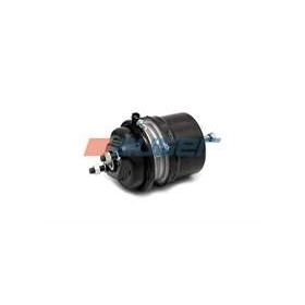 GSP 210443 Ara Aks