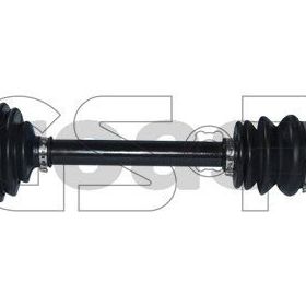 GSP 244076 Aks
