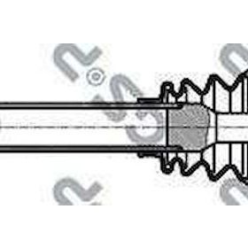 GSP 245019 Aks