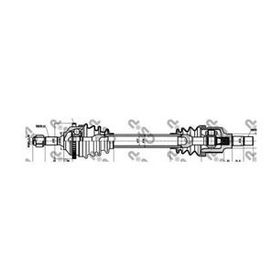GSP 245032 Aks