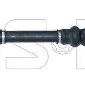 GSP 245131 Aks