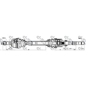 GSP 245137 Aks