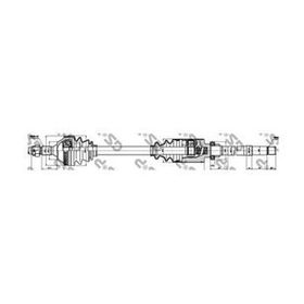 GSP 245156 Aks