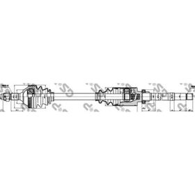 GSP 245156 Aks