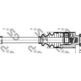 GSP 245156 Aks