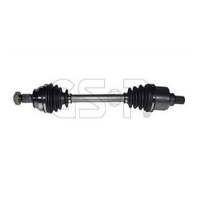 GSP 245202 Aks