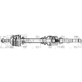 GSP 299003 Aks