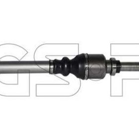 GSP 299003 Aks