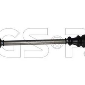 GSP 299010 Aks