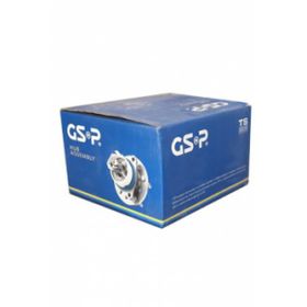 GSP 601149 Aks Kafası