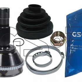 GSP 810011 Aks