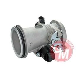 Gua 41132 Clio Uyumlu Kelebek Boğazı