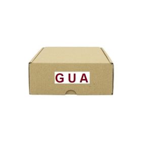 Gua 41699 Fluence Megane 3 10-13 Elektro Vana