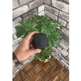 Guard Siyah Fermuarlı Deri Mini Aksesuar Çantası