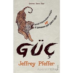 Güç Jeffrey Pfeffer