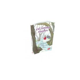 Gül Annemin Masalları - Gülter Yalman