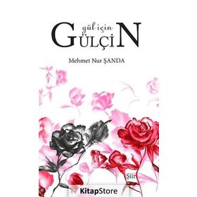 Gül İçin Gülçin - Mehmet Nur Şanda